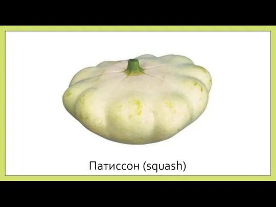 Патиссон (squash)