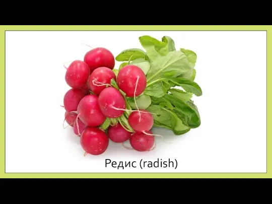 Редис (radish)