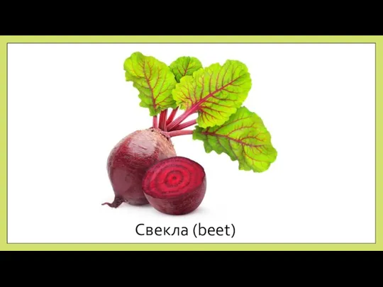 Свекла (beet)