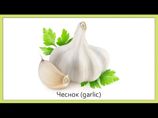 Чеснок (garlic)