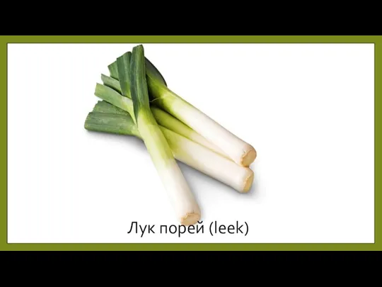 Лук порей (leek)