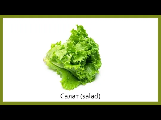 Салат (salad)