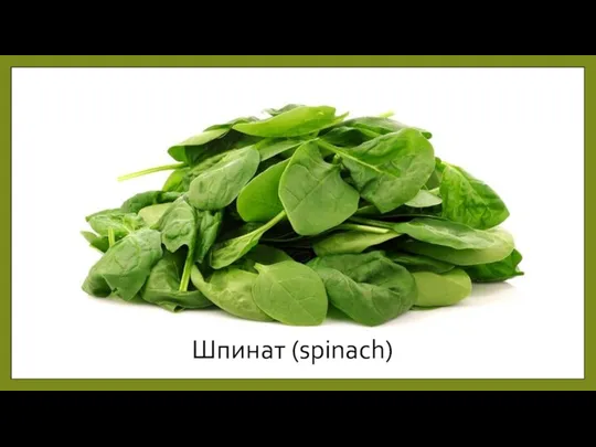 Шпинат (spinach)