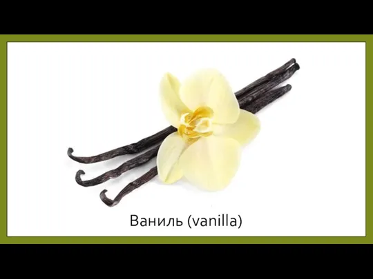 Ваниль (vanilla)