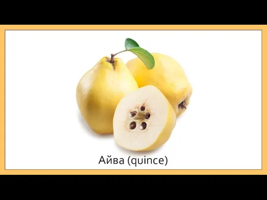 Айва (quince)