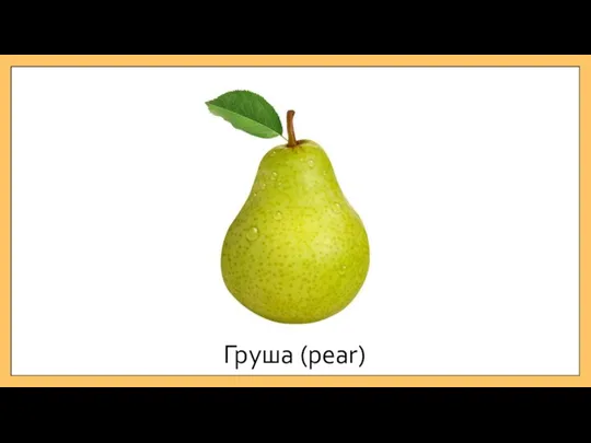 Груша (pear)