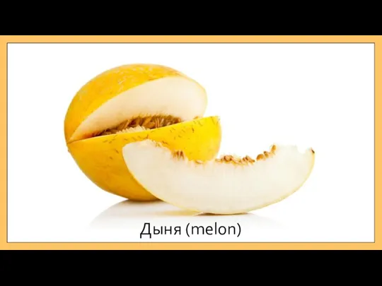 Дыня (melon)