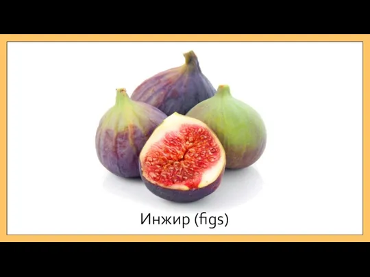 Инжир (figs)