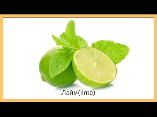 Лайм(lime)