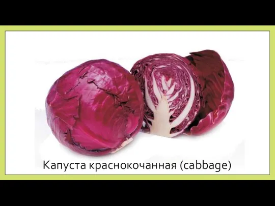 Капуста краснокочанная (cabbage)