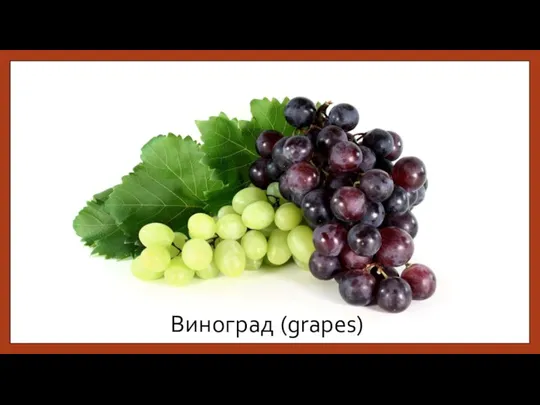 Виноград (grapes)