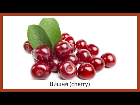 Вишня (cherry)