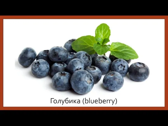 Голубика (blueberry)