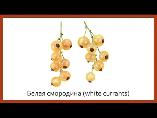 Белая смородина (white currants)