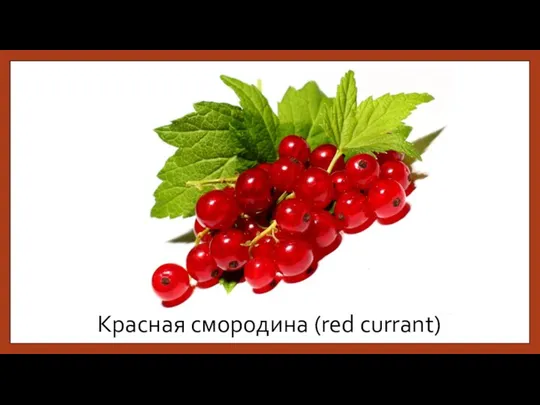 Красная смородина (red currant)
