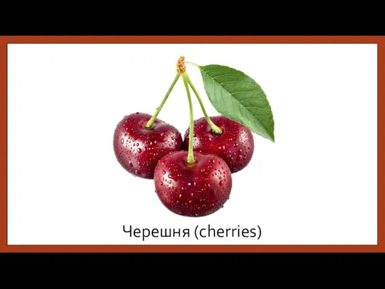 Черешня (cherries)