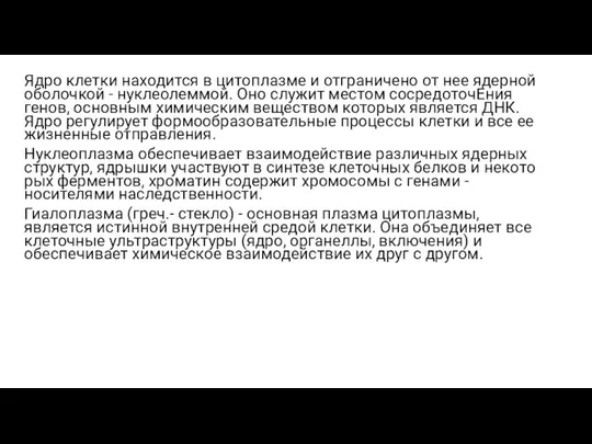 Ядро клетки находится в цитоплазме и отграничено от нее ядерной оболочкой -