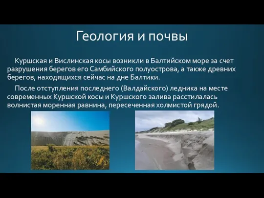 Геология и почвы Куршская и Вислинская косы возникли в Балтийском море за