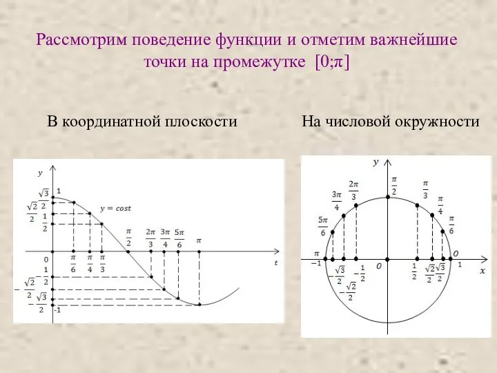Рассмотрим поведение функции и отметим важнейшие точки на промежутке [0;π] В координатной плоскости На числовой окружности