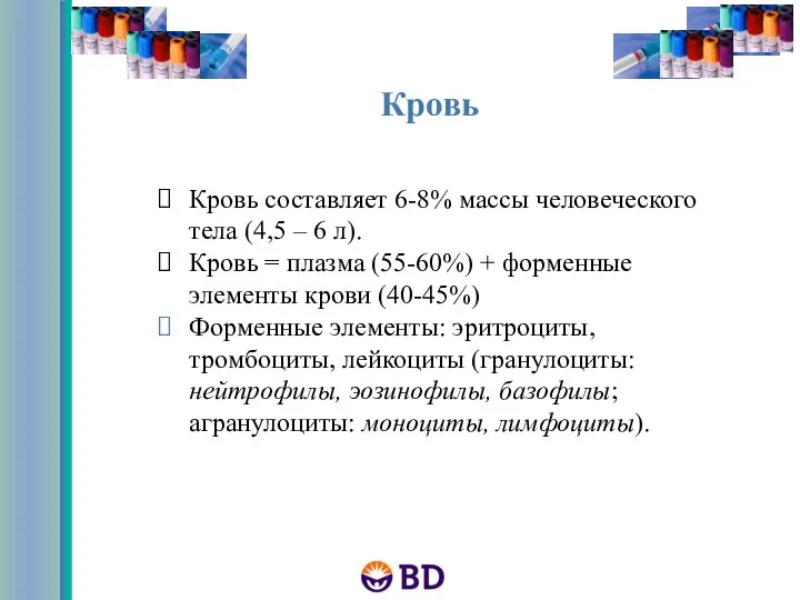 Кровь составляет 6-8% массы человеческого тела (4,5 – 6 л). Кровь =