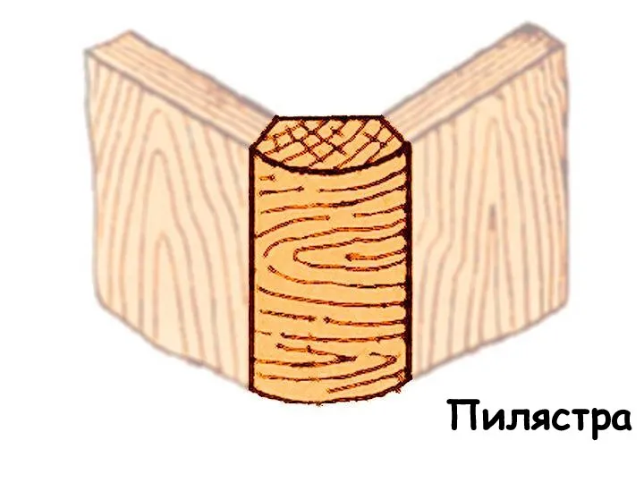 Пилястра