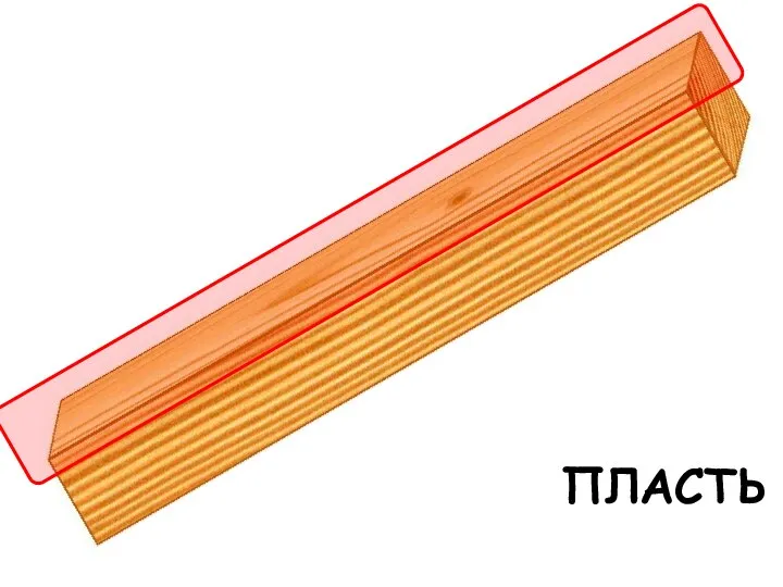 ПЛАСТЬ