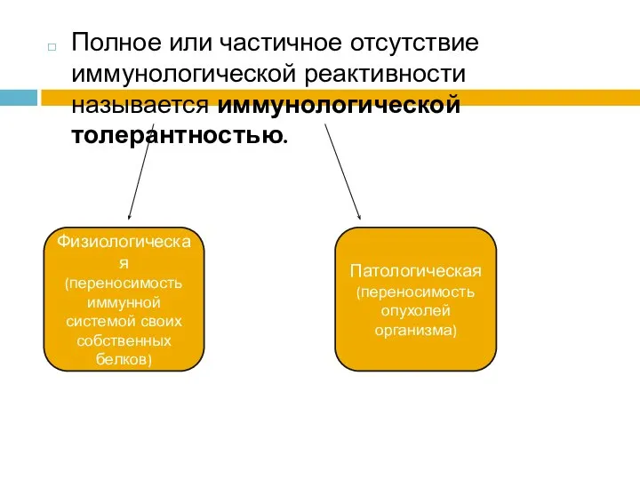 Полное или частичное отсутствие иммунологической реактивности называется иммунологической толерантностью. Физиологическая (переносимость иммунной