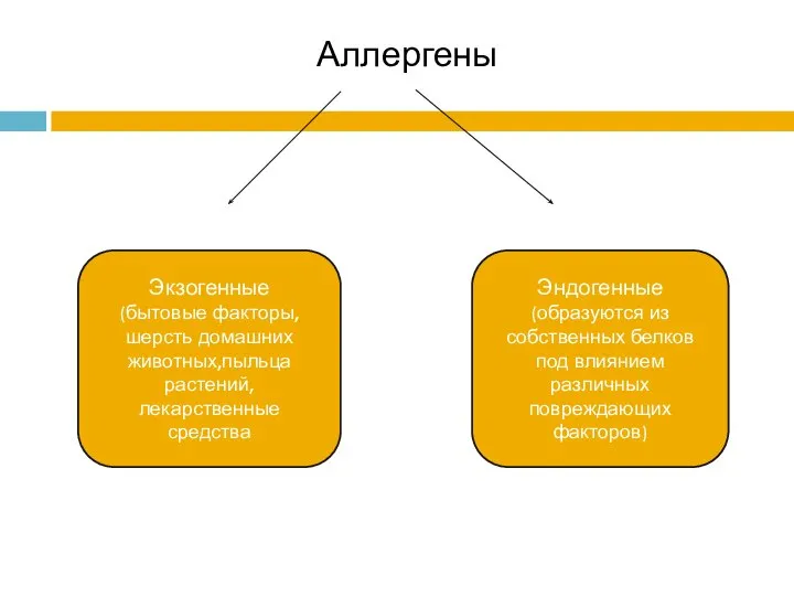 Аллергены Экзогенные (бытовые факторы,шерсть домашних животных,пыльца растений,лекарственные средства Эндогенные (образуются из собственных