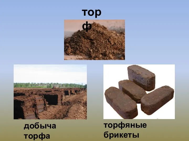 торф добыча торфа торфяные брикеты