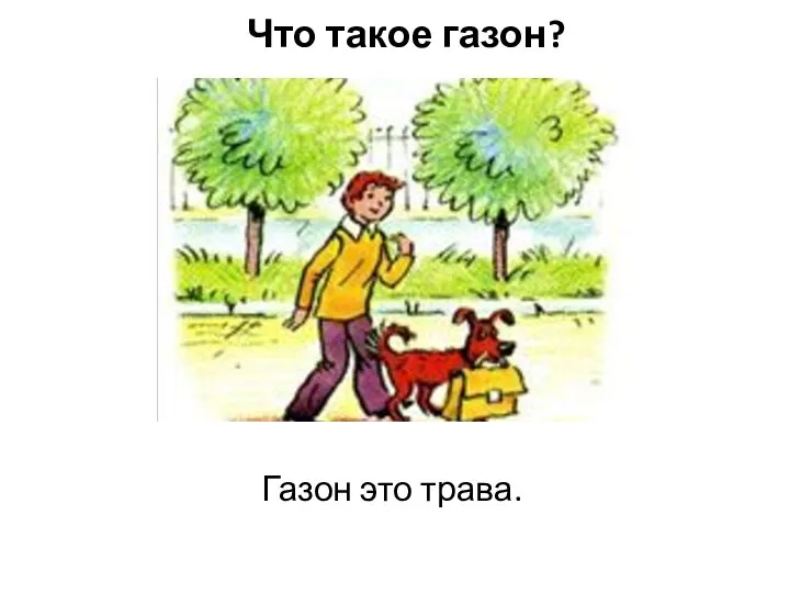 Что такое газон? Газон это трава.