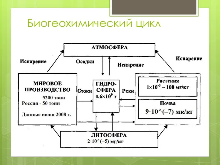 Биогеохимический цикл