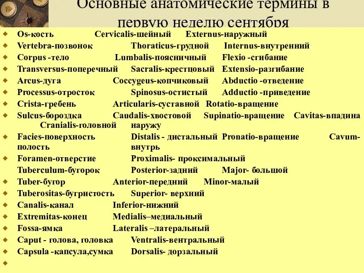 Основные анатомические термины в первую неделю сентября Os-кость Cervicalis-шейный Externus-наружный Vertebra-позвонок Thoraticus-грудной