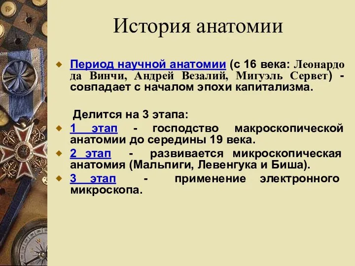 Период научной анатомии (с 16 века: Леонардо да Винчи, Андрей Везалий, Мигуэль