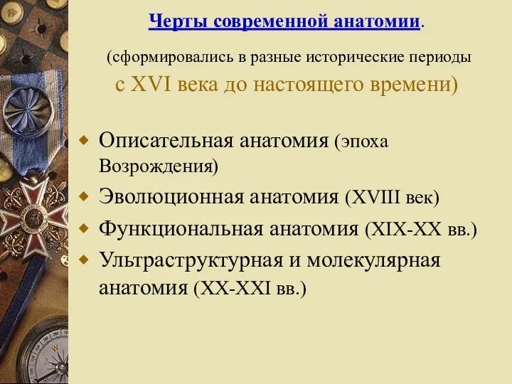 Черты современной анатомии. (сформировались в разные исторические периоды с XVI века до