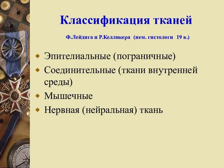 Классификация тканей Ф.Лейдига и Р.Келликера (нем. гистологи 19 в.) Эпителиальные (пограничные) Соединительные