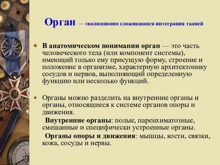 Орган — эволюционно сложившаяся интеграция тканей В анатомическом понимании орган — это