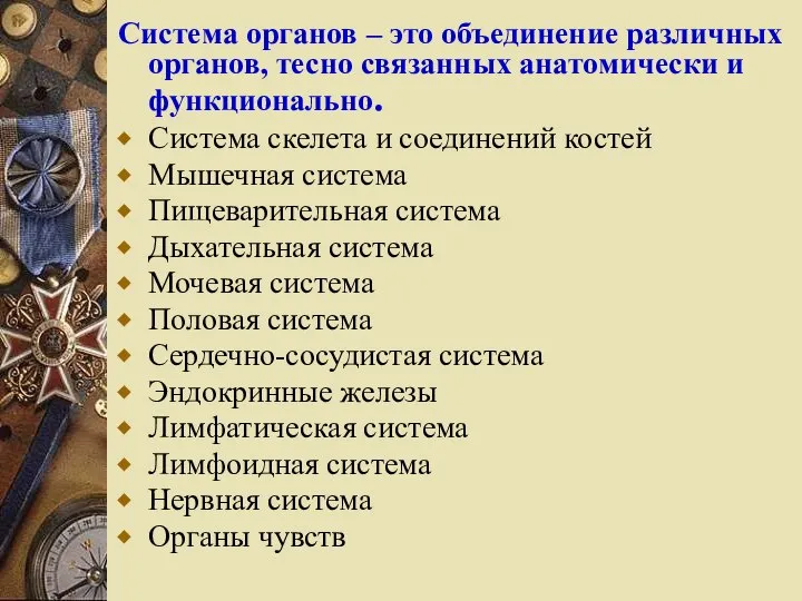 Система органов – это объединение различных органов, тесно связанных анатомически и функционально.