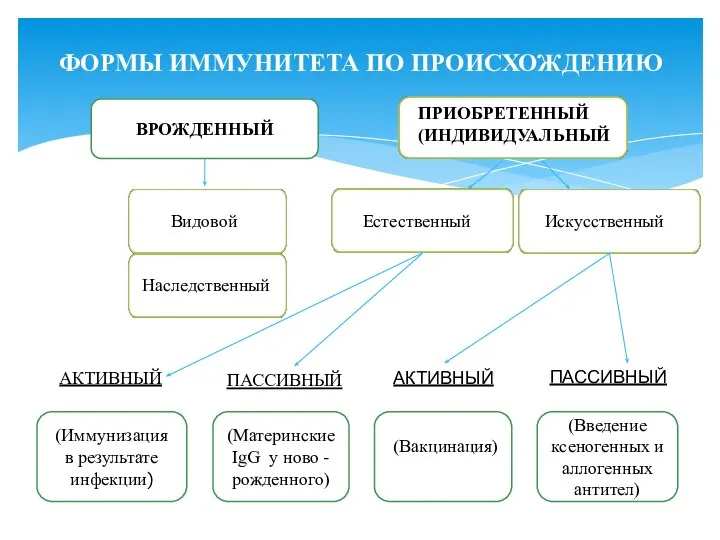 ФОРМЫ ИММУНИТЕТА ПО ПРОИСХОЖДЕНИЮ ВРОЖДЕННЫЙ Видовой Наследственный Естественный Искусственный АКТИВНЫЙ ПАССИВНЫЙ (Материнские