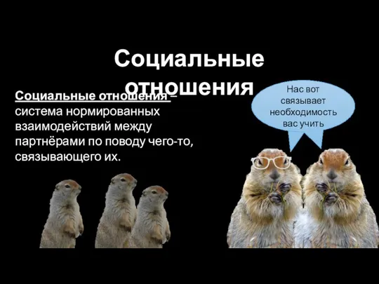 Социальные отношения – система нормированных взаимодействий между партнёрами по поводу чего-то, связывающего