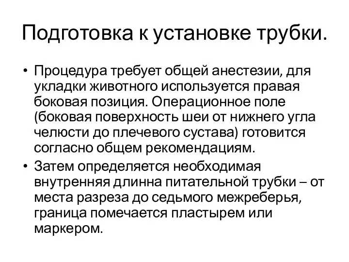 Подготовка к установке трубки. Процедура требует общей анестезии, для укладки животного используется