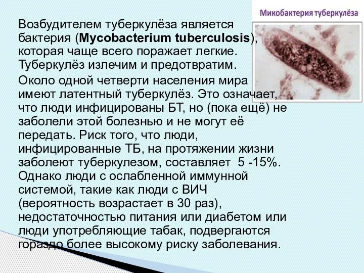 Возбудителем туберкулёза является бактерия (Mycobacterium tuberculosis), которая чаще всего поражает легкие. Туберкулёз