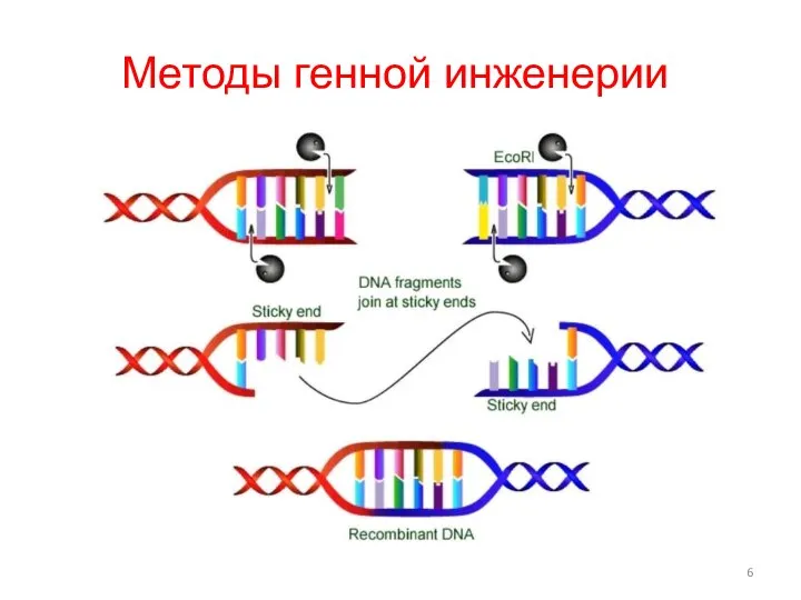 Методы генной инженерии