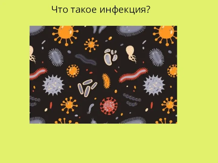 Что такое инфекция?