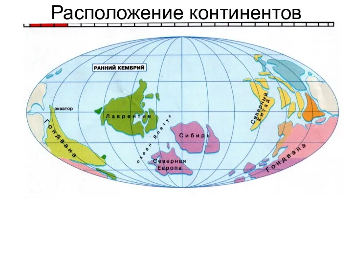 Расположение континентов