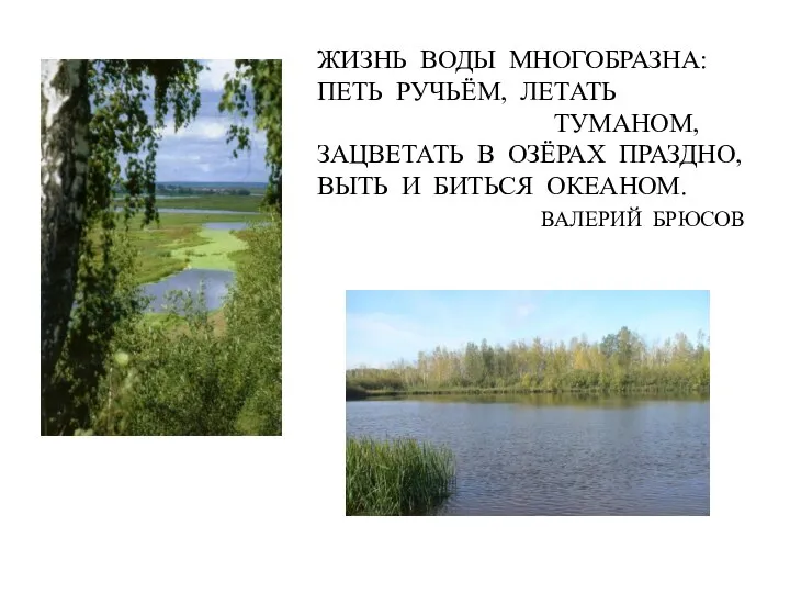 ЖИЗНЬ ВОДЫ МНОГОБРАЗНА: ПЕТЬ РУЧЬЁМ, ЛЕТАТЬ ТУМАНОМ, ЗАЦВЕТАТЬ В ОЗЁРАХ ПРАЗДНО, ВЫТЬ