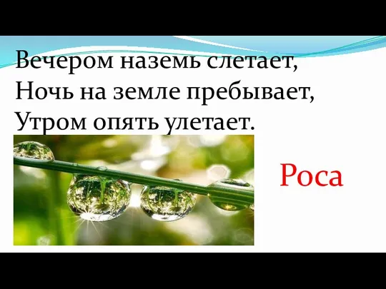 Вечером наземь слетает, Ночь на земле пребывает, Утром опять улетает. Роса