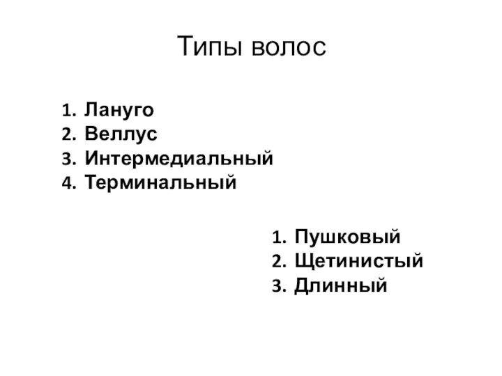 Типы волос Лануго Веллус Интермедиальный Терминальный Пушковый Щетинистый Длинный