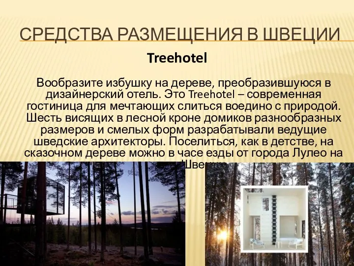 СРЕДСТВА РАЗМЕЩЕНИЯ В ШВЕЦИИ Treehotel Вообразите избушку на дереве, преобразившуюся в дизайнерский