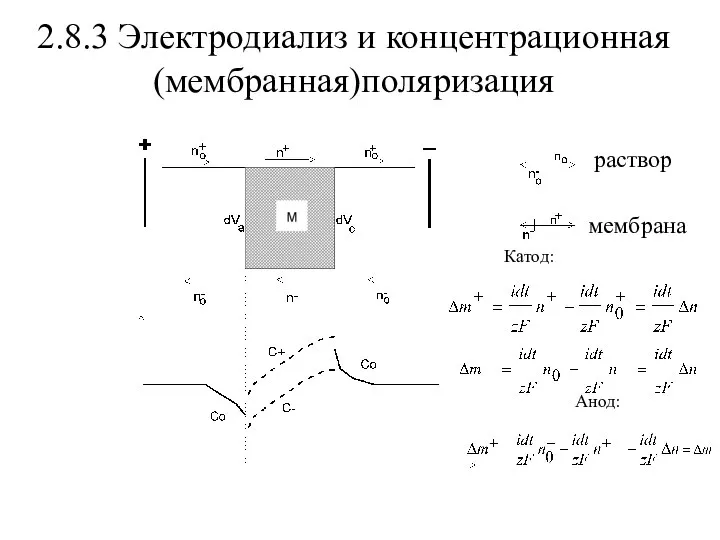 2.8.3 Электродиализ и концентрационная (мембранная)поляризация раствор мембрана Катод: Анод: