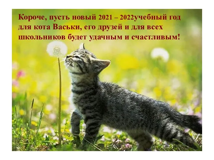 Короче, пусть новый 2021 – 2022учебный год для кота Васьки, его друзей